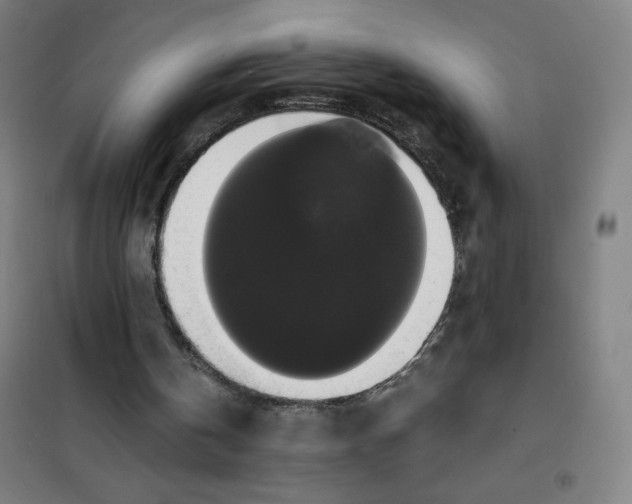 X0000101390146200808041025