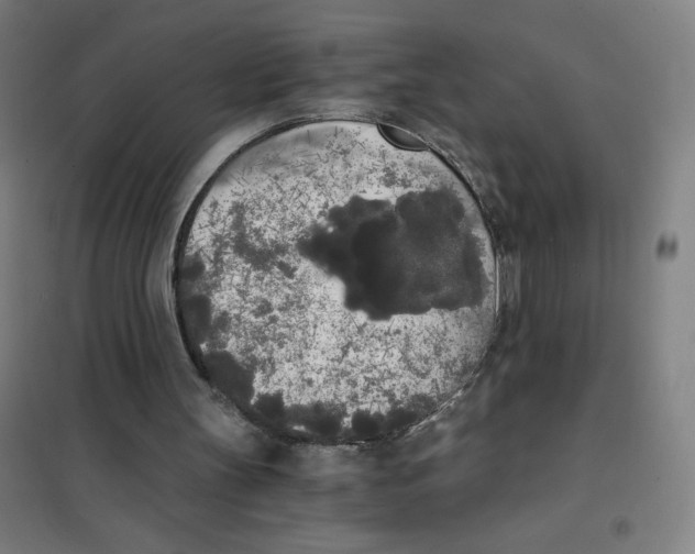 X0000101390147200808041025