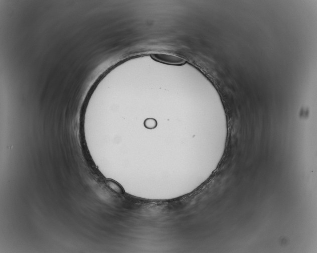 X0000101390148200808041025