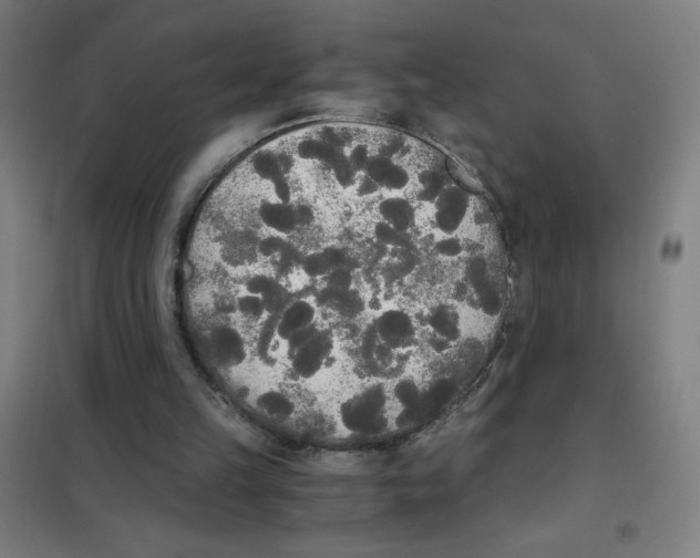 X0000101390149200808041025