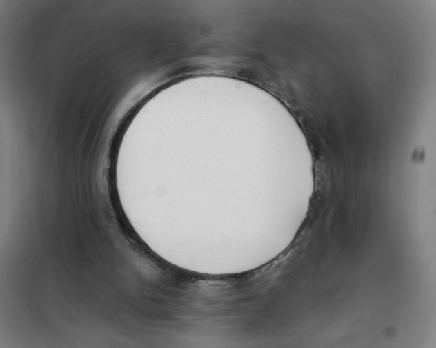 X0000101390150200808041025