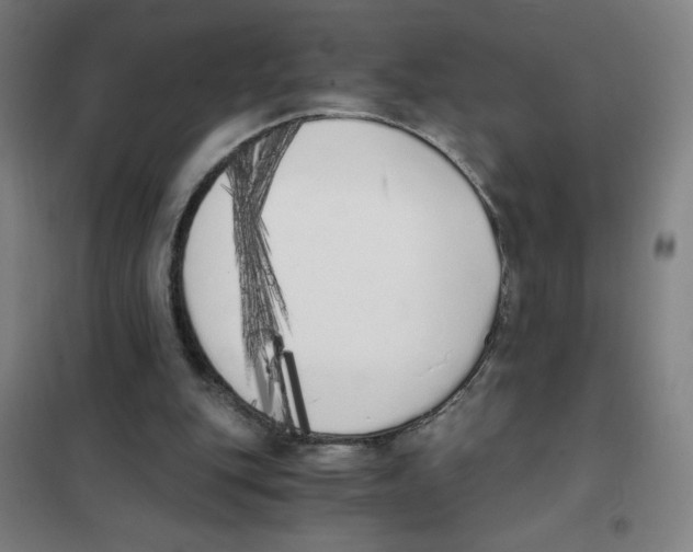 X0000101390151200808041025