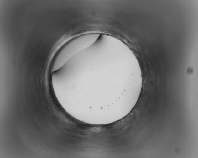 X0000101390152200808041025
