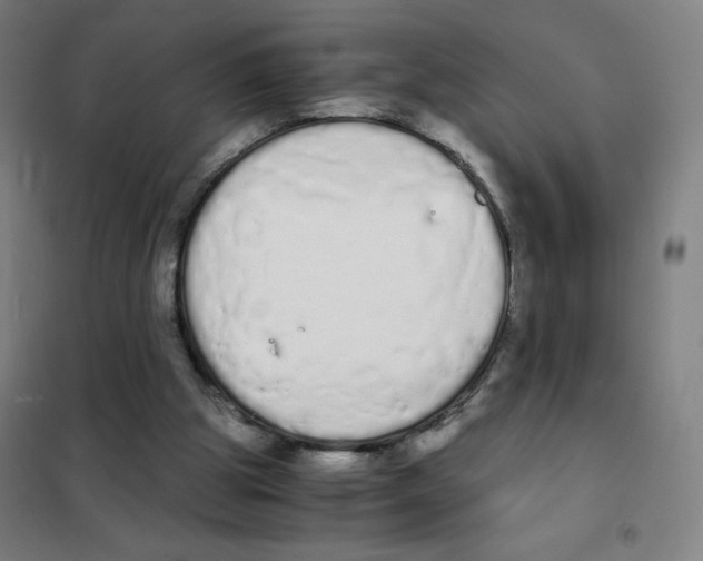 X0000101390153200808041025