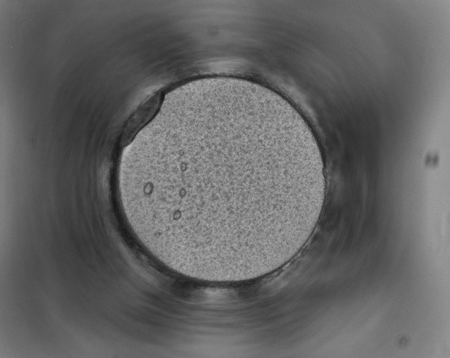 X0000101390154200808041025