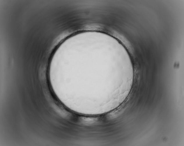 X0000101390155200808041025