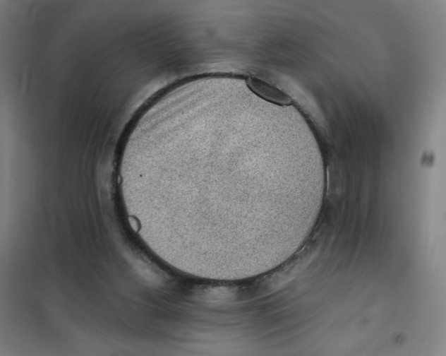 X0000101390156200808041025