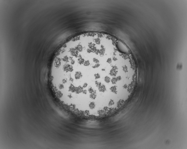 X0000101390157200808041025