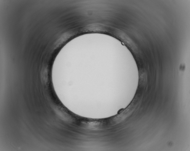 X0000101390158200808041026