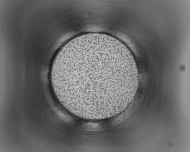 X0000101390159200808041026