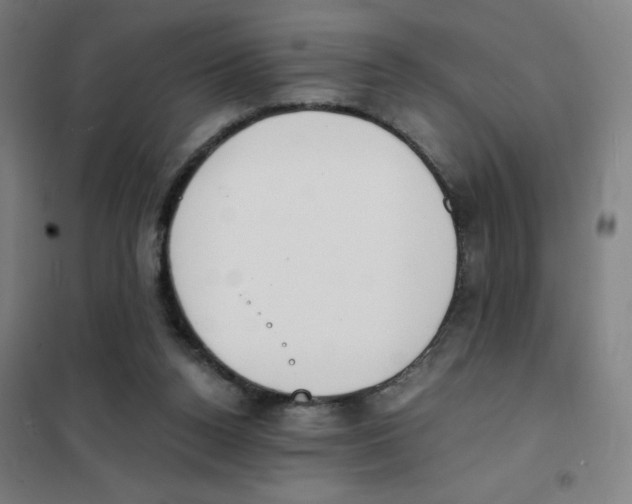 X0000101390160200808041026