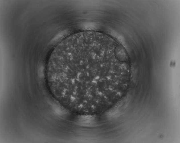 X0000101390161200808041026
