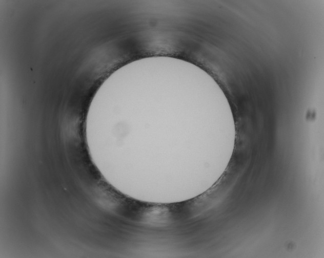 X0000101390162200808041026