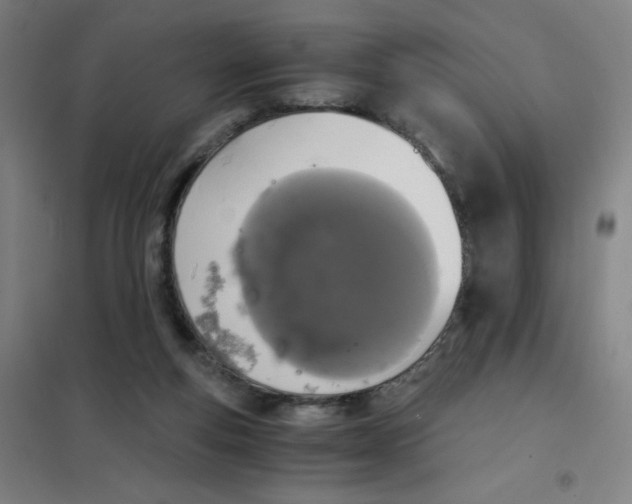 X0000101390163200808041026