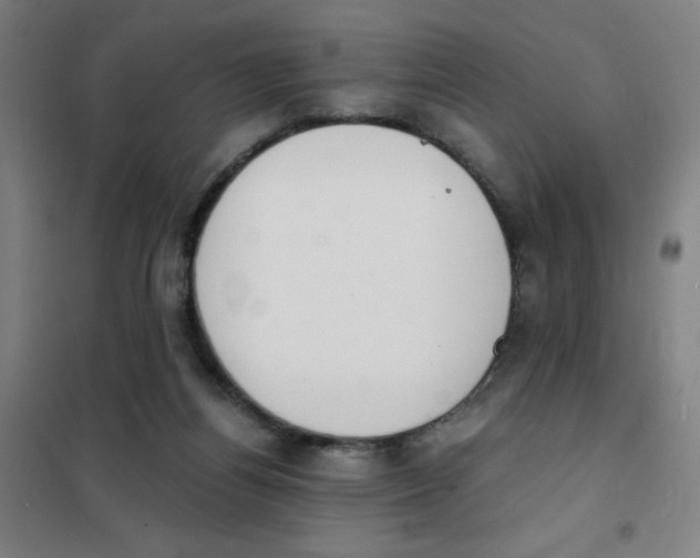 X0000101390164200808041026