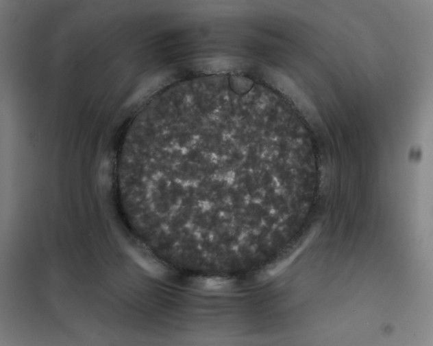 X0000101390165200808041026