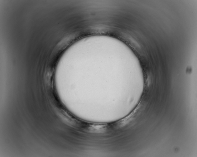 X0000101390166200808041026