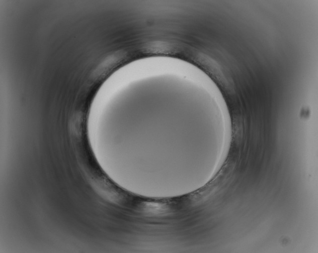 X0000101390167200808041026