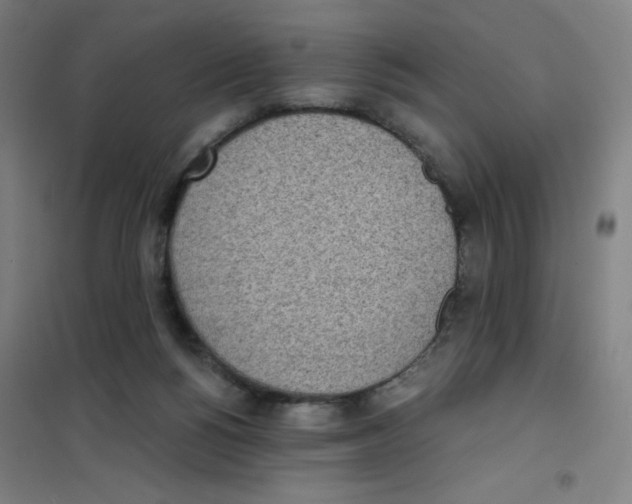 X0000101390168200808041026