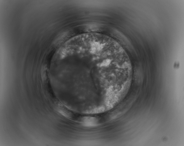X0000101390169200808041026