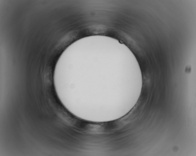 X0000101390170200808041026