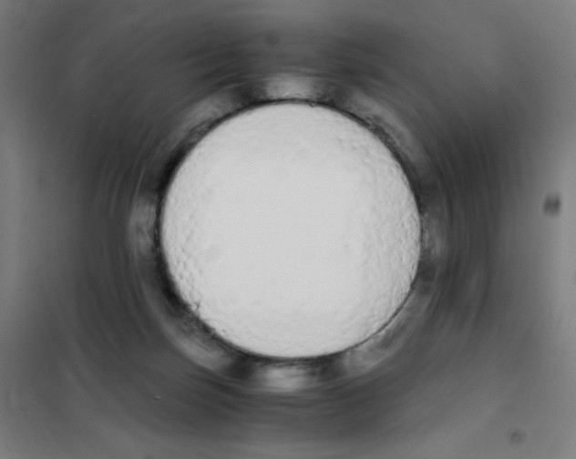 X0000101390171200808041026