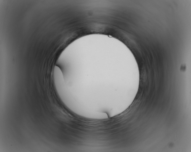 X0000101390172200808041026