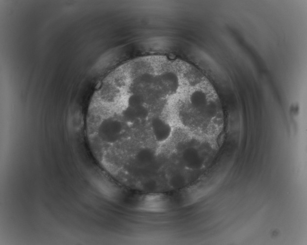 X0000101390173200808041026