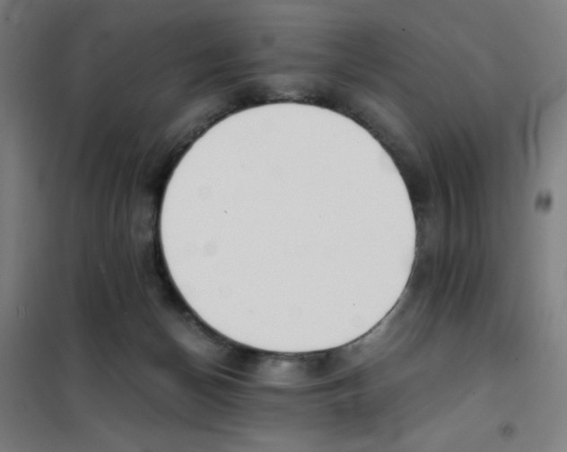 X0000101390174200808041026