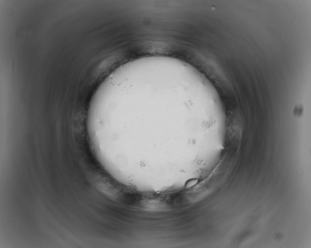 X0000101390175200808041026