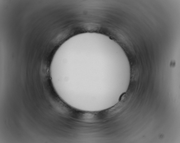 X0000101390176200808041026