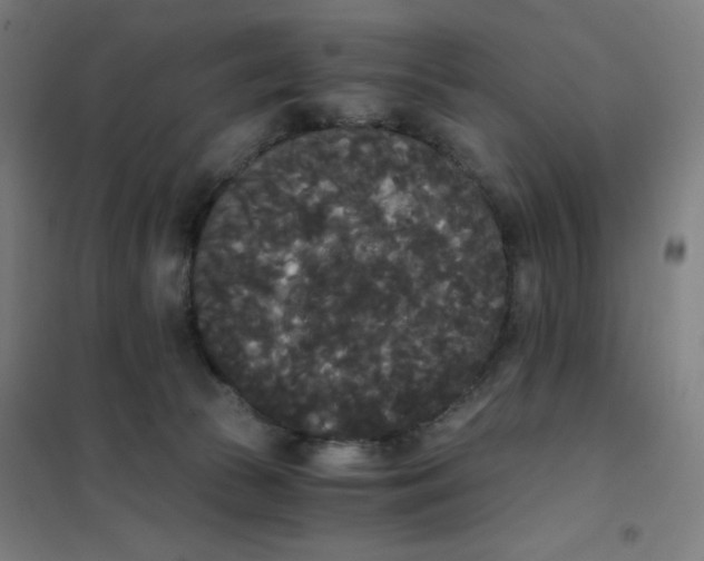 X0000101390177200808041026