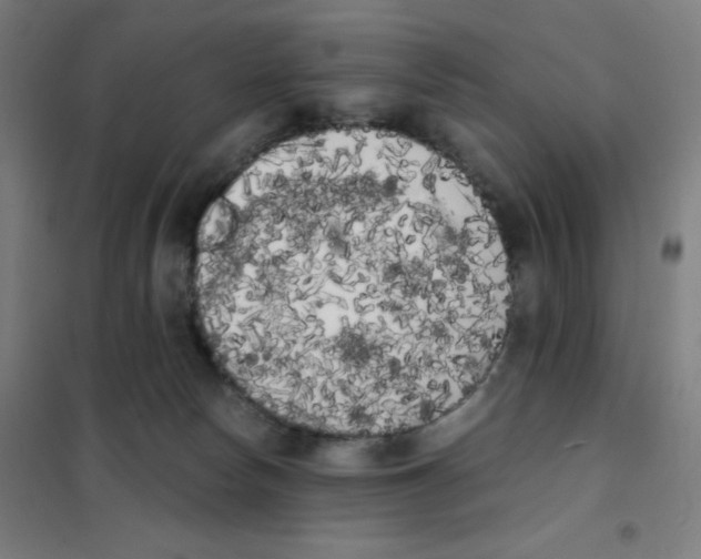 X0000101390178200808041026