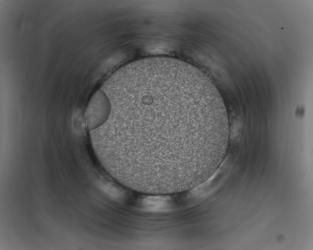 X0000101390179200808041026