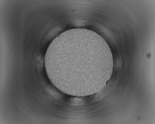 X0000101390180200808041026