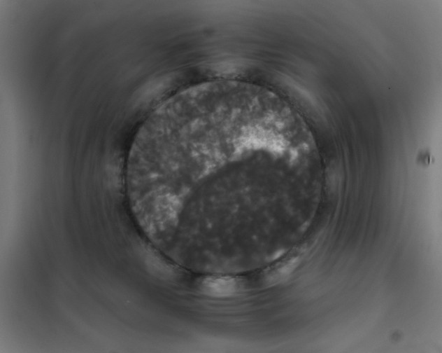 X0000101390181200808041026