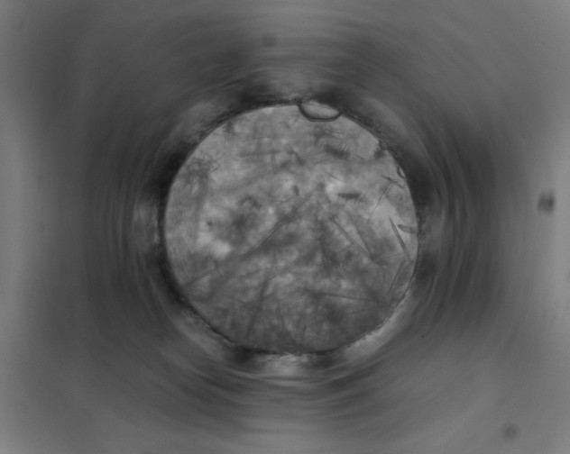 X0000101390182200808041026