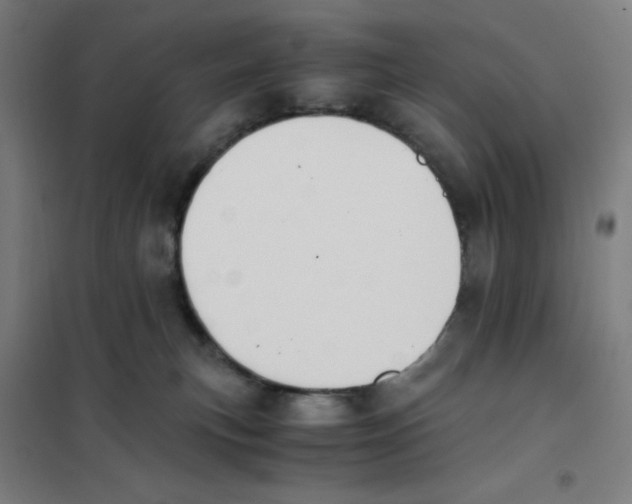X0000101390183200808041026
