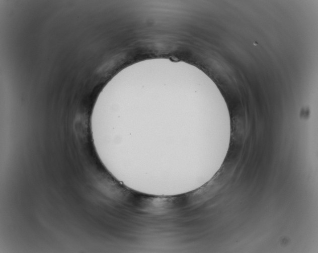 X0000101390184200808041026
