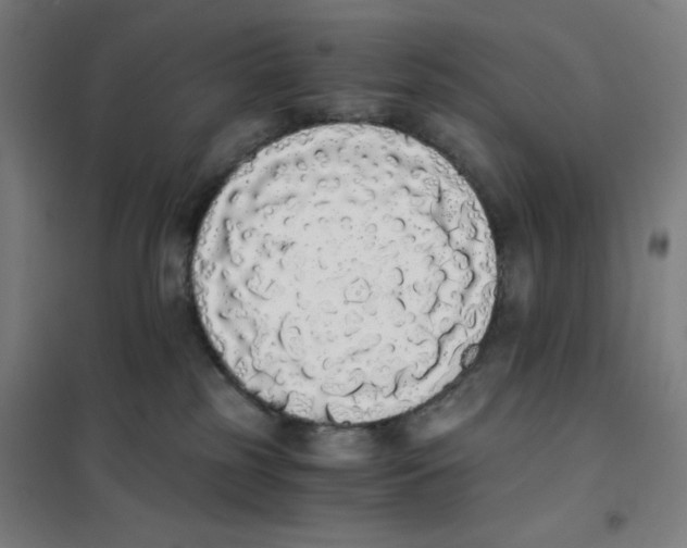 X0000101390185200808041026