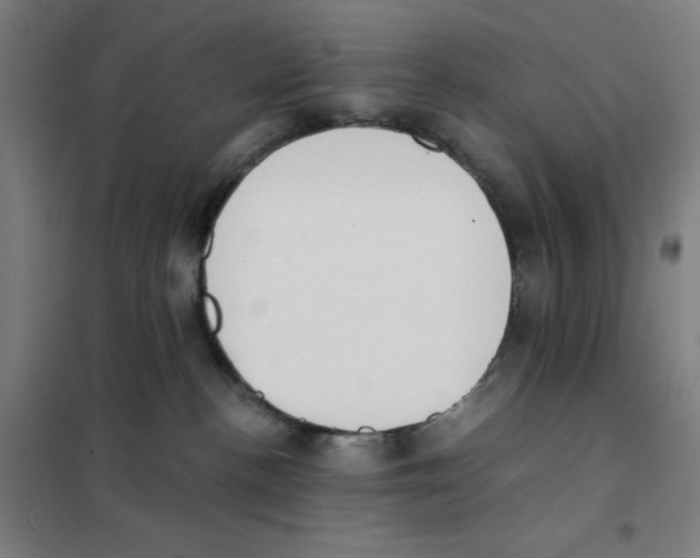 X0000101390188200808041026