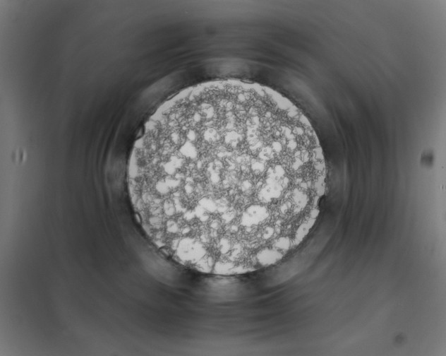 X0000101390189200808041026