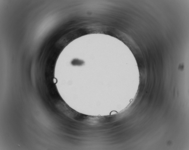 X0000101390190200808041026