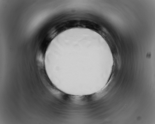X0000101390191200808041026