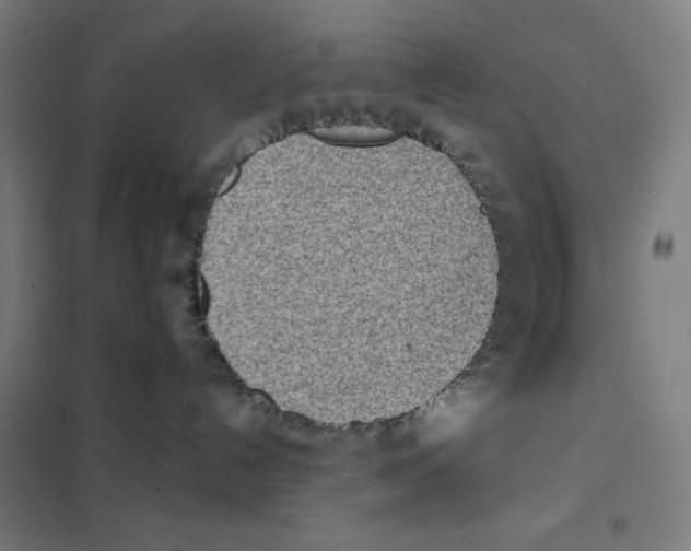 X0000101390192200808041026