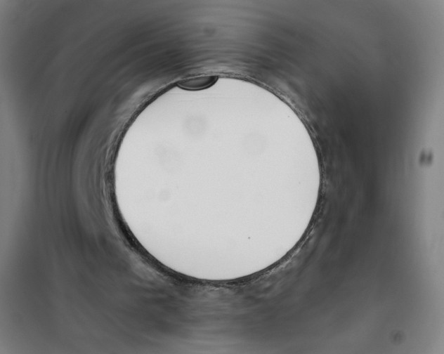 X0000101390193200808041025