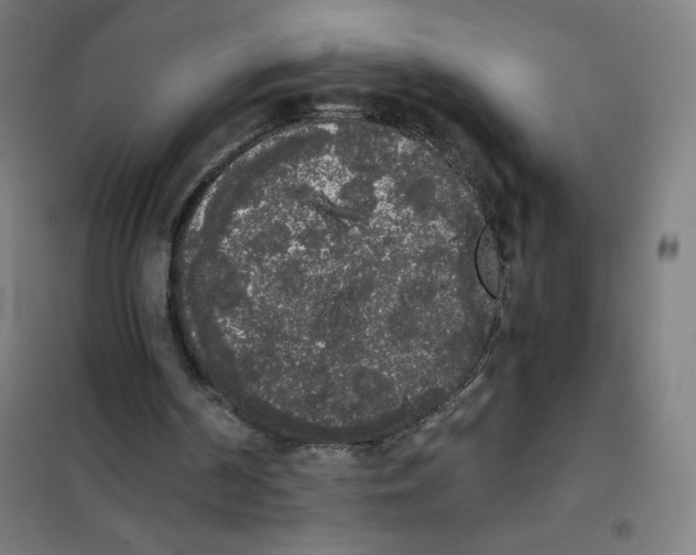 X0000101390194200808041025