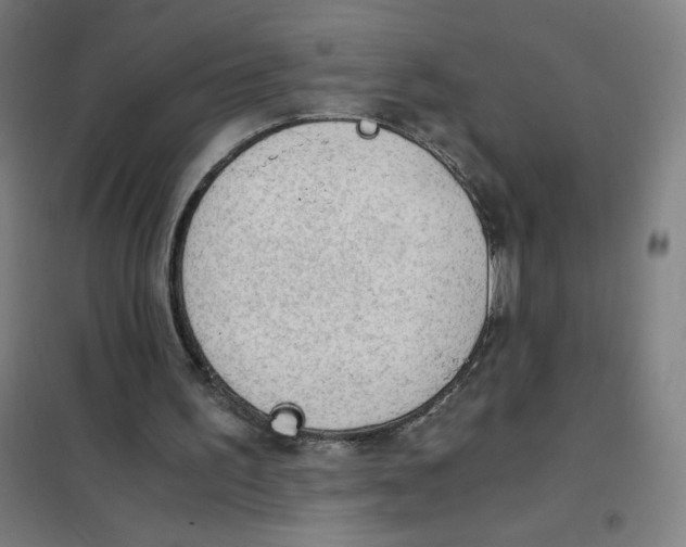 X0000101390195200808041025