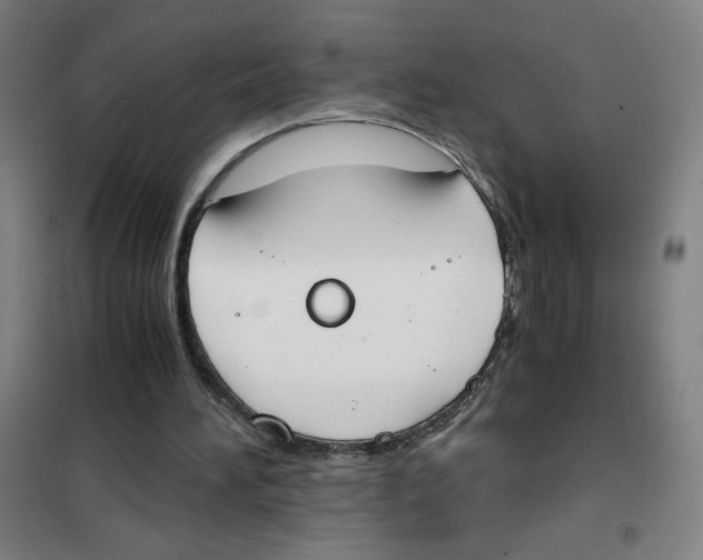 X0000101390196200808041025
