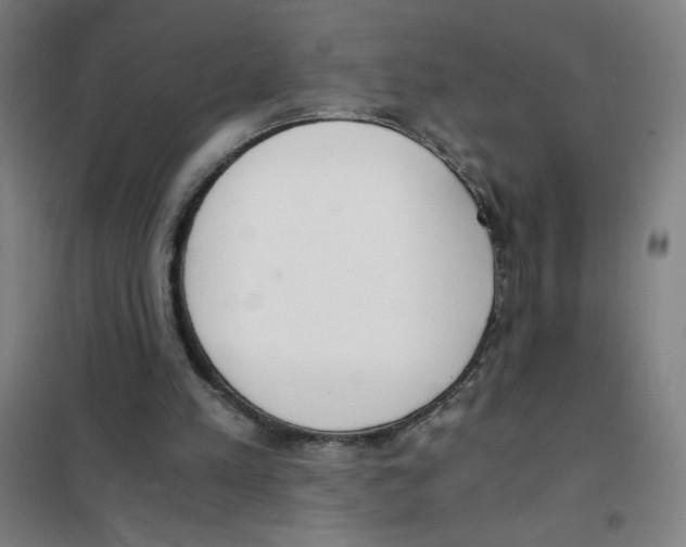X0000101390197200808041025
